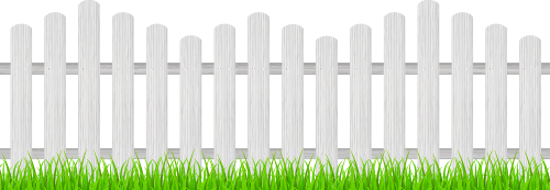 Wooden fence and grass