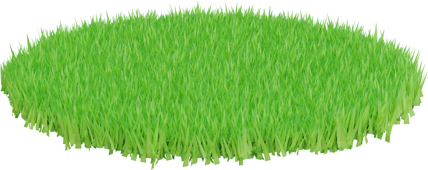 3D Green Grass